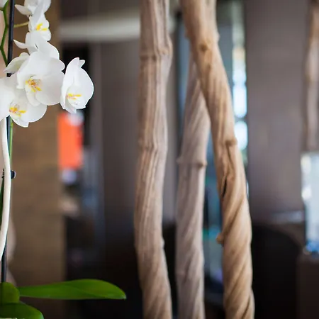 Szálloda Ibis Styles Nord Valmy Dijon