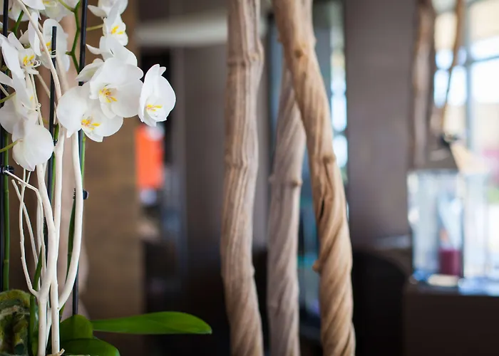 Hotel Ibis Styles Nord Valmy Dijon