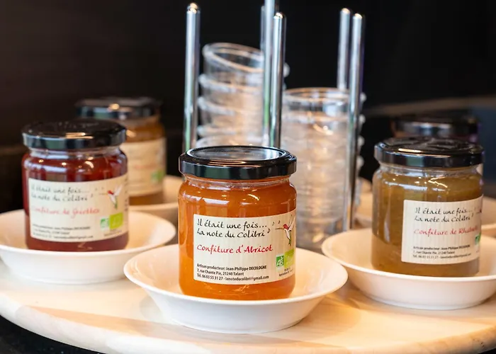 Ibis Styles Nord Valmy דיז'ון