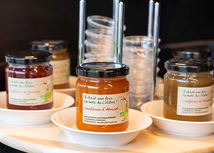 Hotel Ibis Styles Nord Valmy Dijon