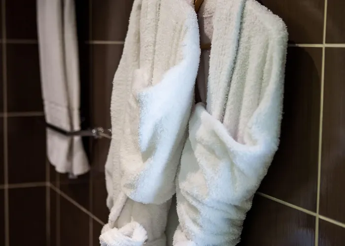 Ibis Styles Nord Valmy 酒店 第戎